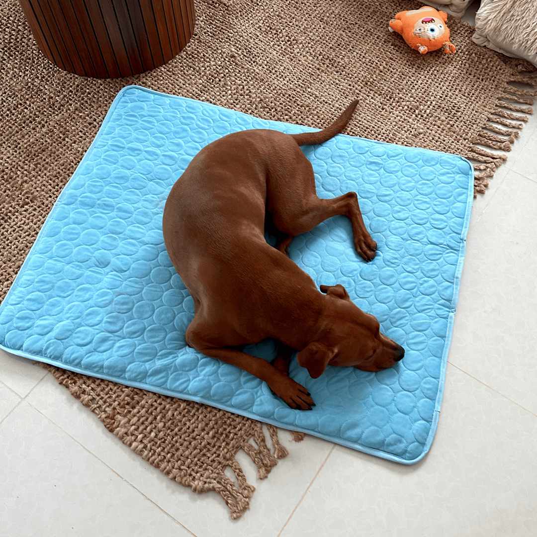 Innovative Cooling Mat for Dogs (4x Cooling Power) - ChillComfort