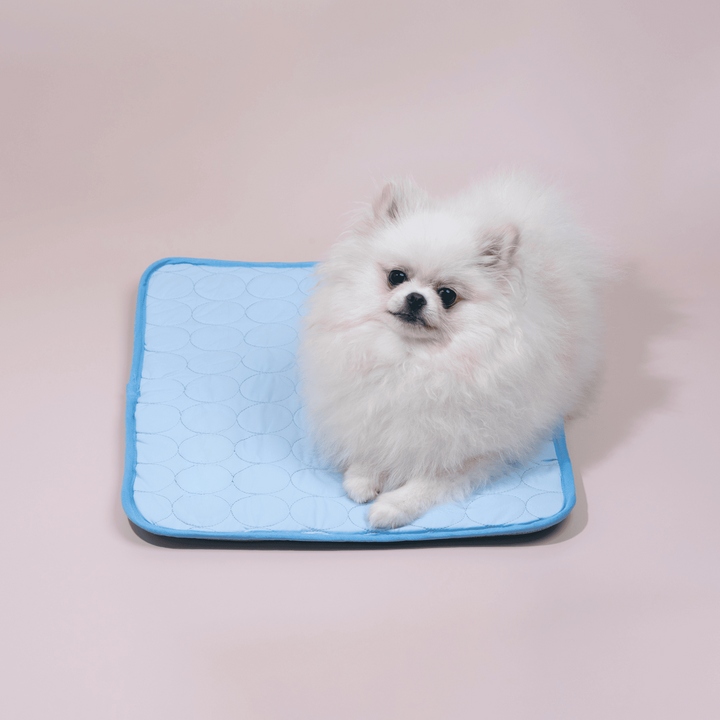 Innovative Cooling Mat for Dogs (4x Cooling Power) - ChillComfort