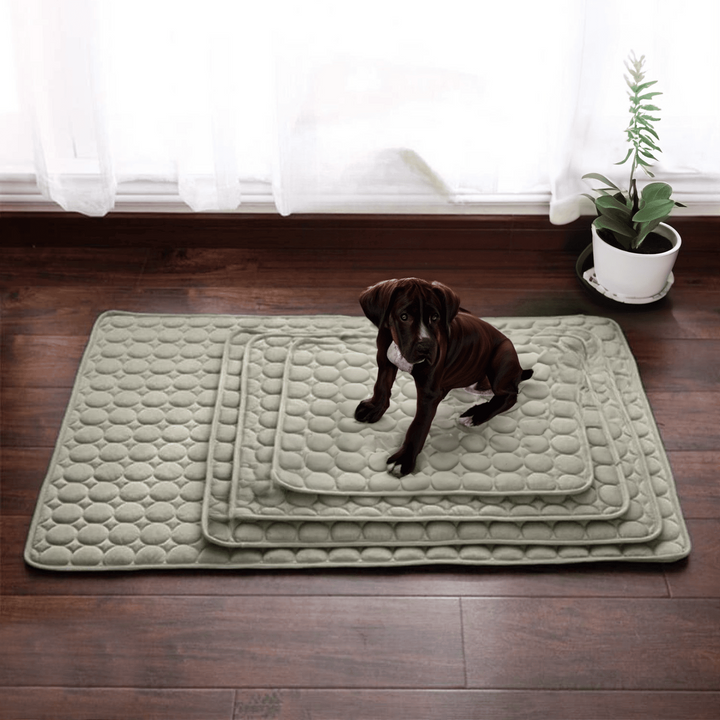 Innovative Cooling Mat for Dogs (4x Cooling Power) - ChillComfort