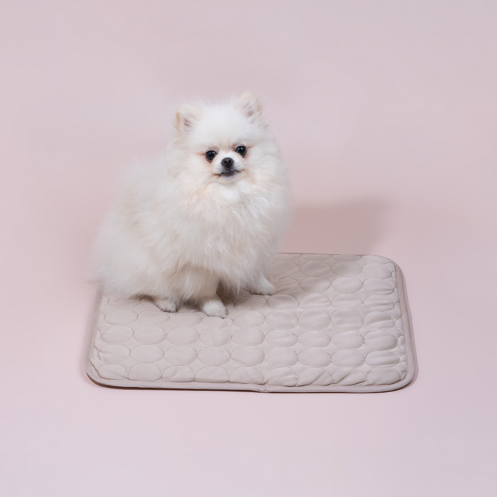 Innovative Cooling Mat for Dogs (4x Cooling Power) - ChillComfort