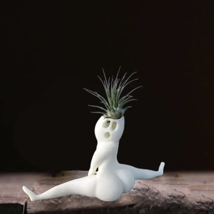 SpookyBuddy Ghost-Shaped Air Plant Display