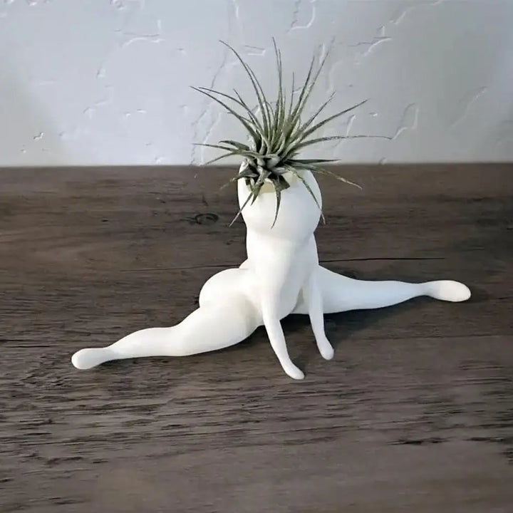 SpookyBuddy Ghost-Shaped Air Plant Display