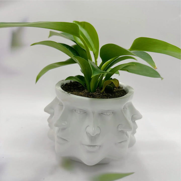 3D Face Pot - FaceBloom