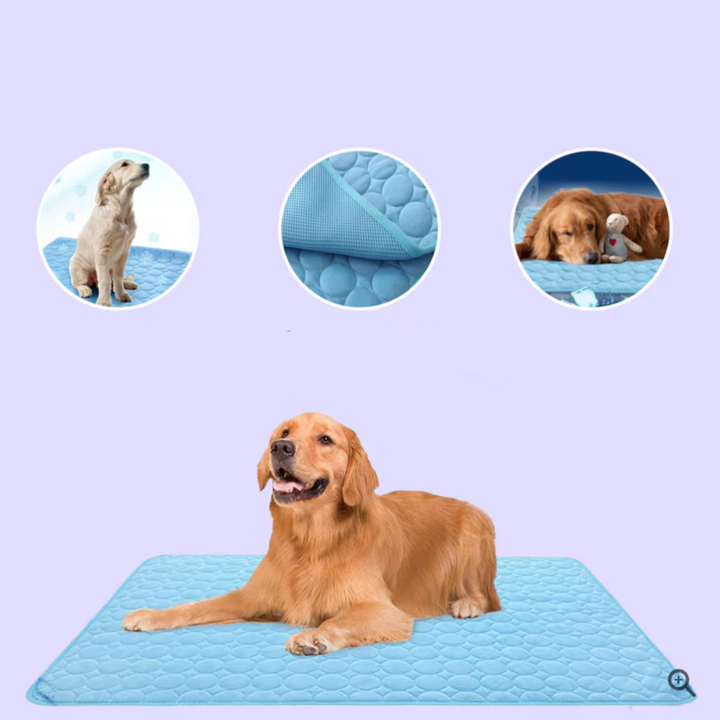 Innovative Cooling Mat for Dogs (4x Cooling Power) - ChillComfort