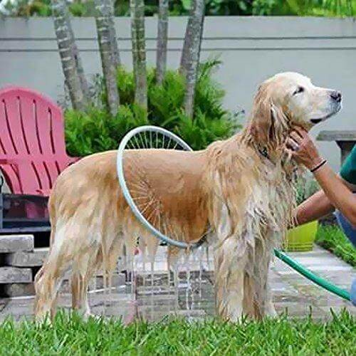 360° Pet Shower Tool - AquaPaws